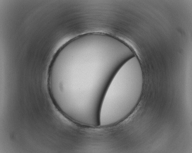 X0000112431135200908141105