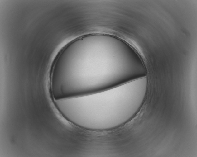 X0000112431136200908141105