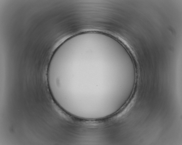 X0000112431137200908141106