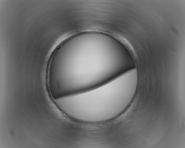 X0000112431138200908141106