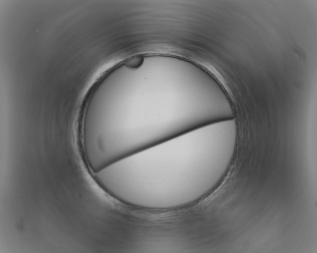 X0000112431139200908141106