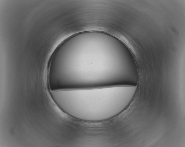 X0000112431140200908141106