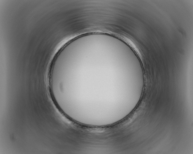 X0000112431141200908141106