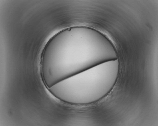 X0000112431143200908141106