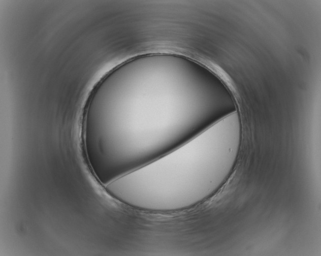 X0000112431144200908141106