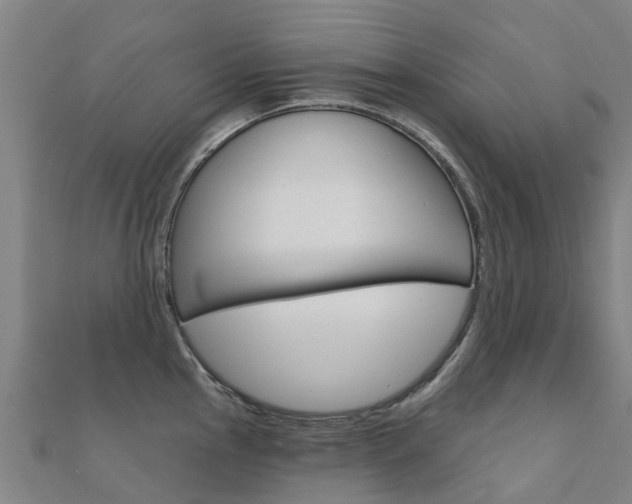 X0000112431145200908141106