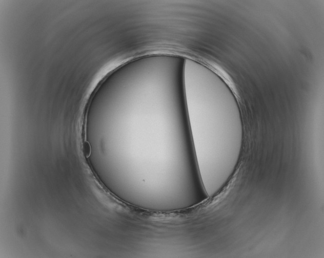 X0000112431146200908141106