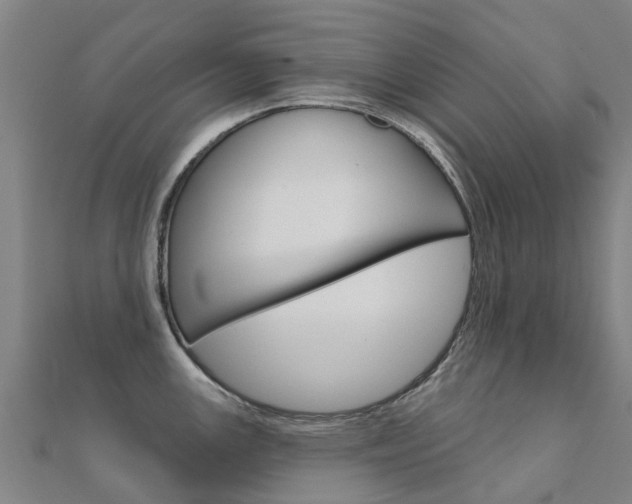 X0000112431147200908141106