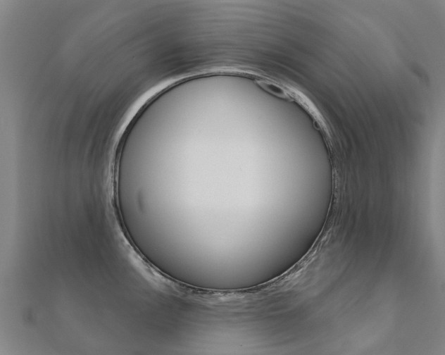 X0000112431148200908141106