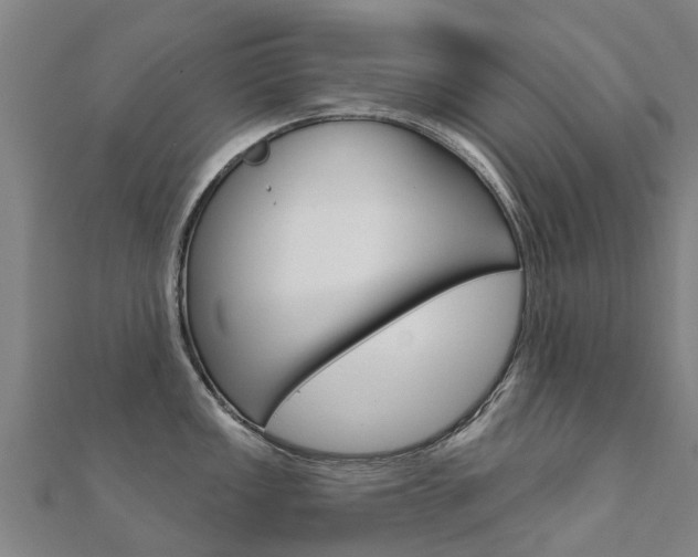 X0000112431149200908141106