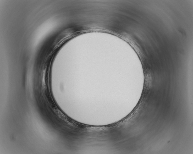 X0000112431150200908141106