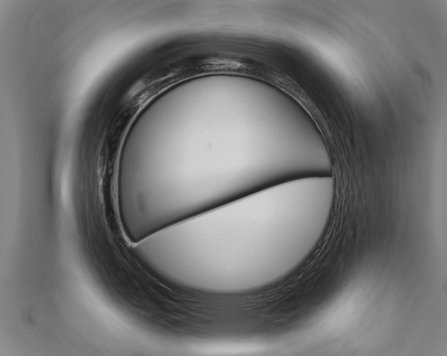 X0000112431151200908141106