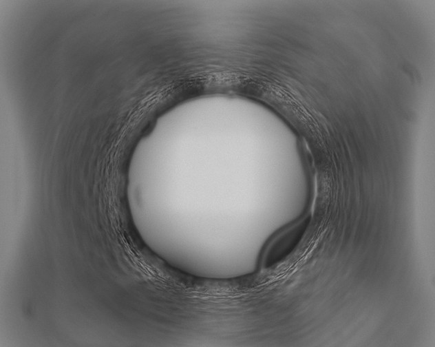X0000112431153200908141105