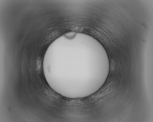 X0000112431154200908141105