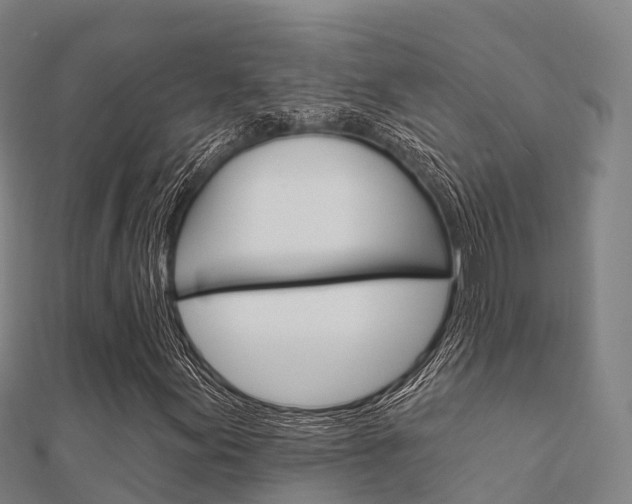 X0000112431155200908141105