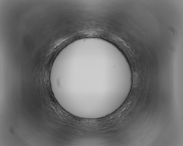 X0000112431158200908141105