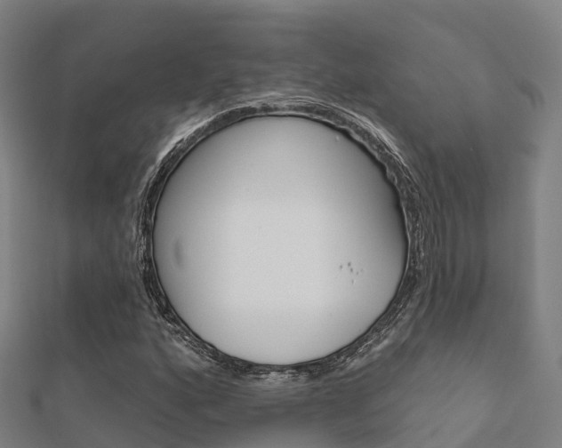 X0000112431160200908141105