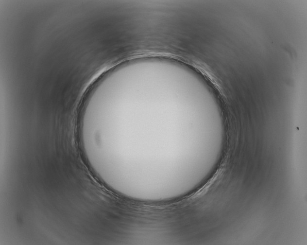 X0000112431165200908141105