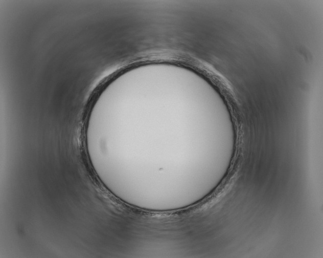 X0000112431166200908141105