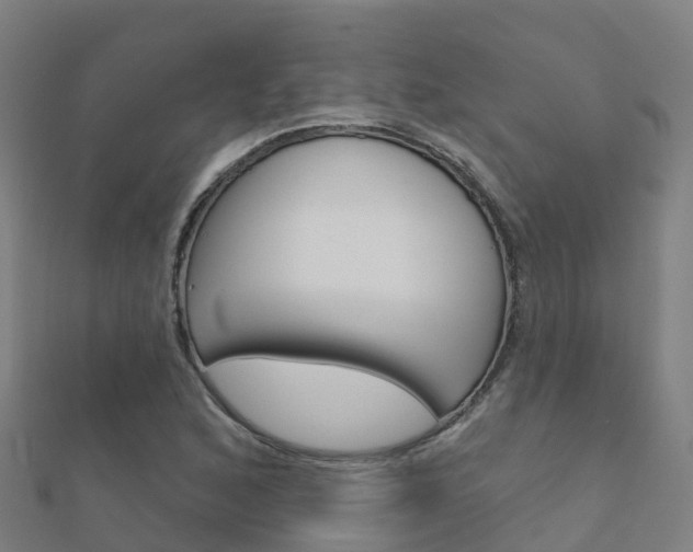 X0000112431168200908141105