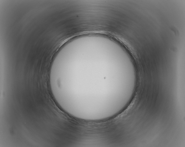 X0000112431169200908141105