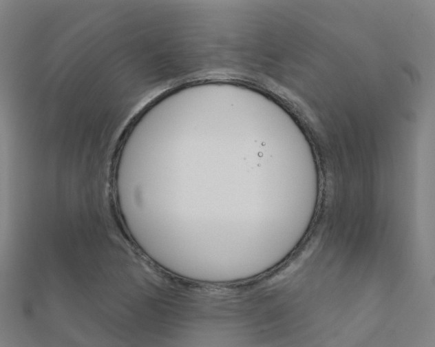 X0000112431170200908141105