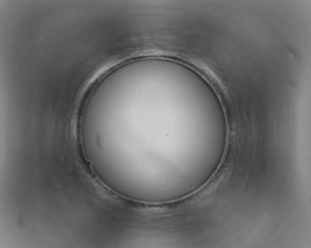 X0000112431173200908141105