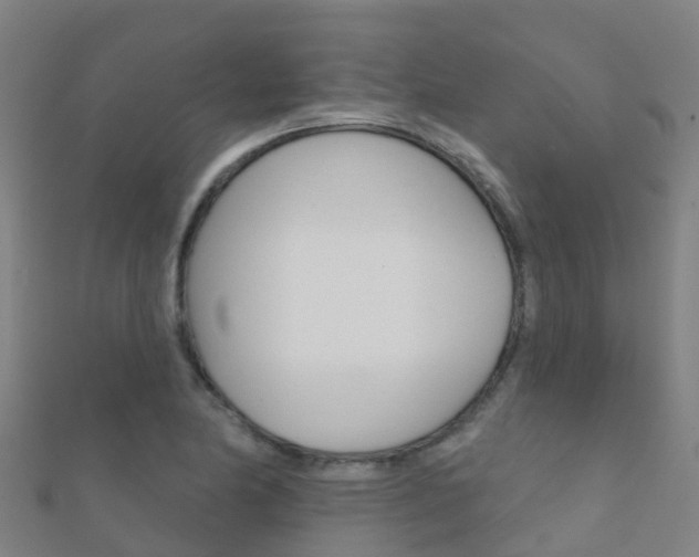 X0000112431174200908141105