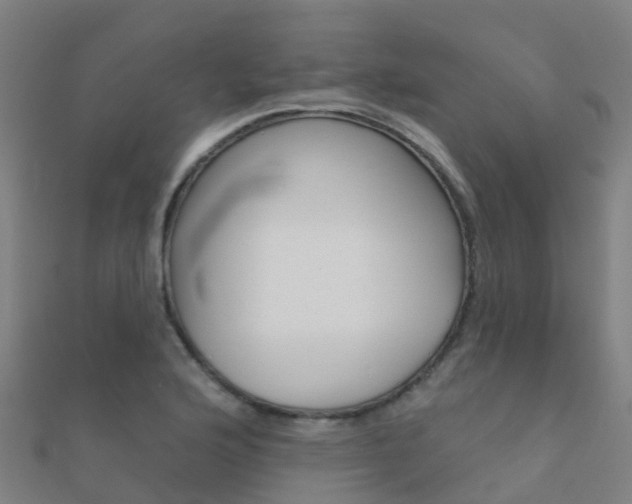 X0000112431176200908141105