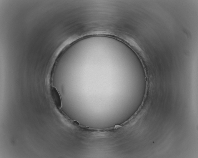 X0000112431181200908141105
