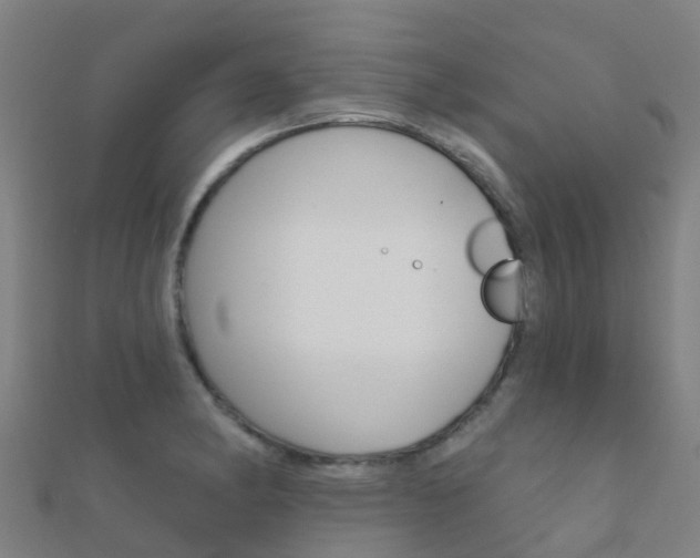 X0000112431182200908141105
