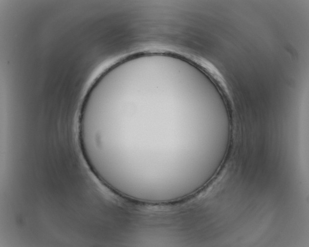 X0000112431183200908141105