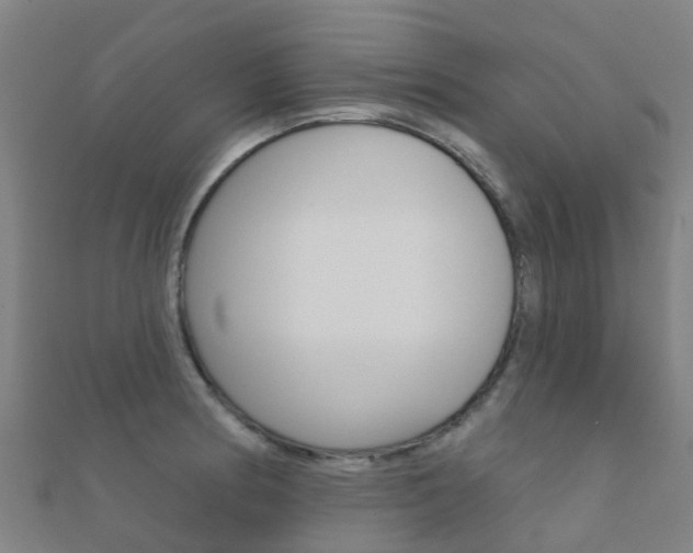 X0000112431186200908141104