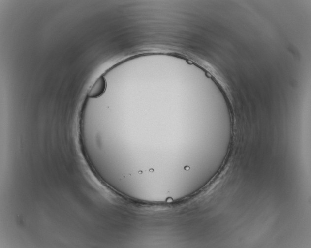 X0000112431187200908141104