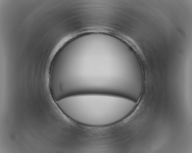 X0000112431188200908141104