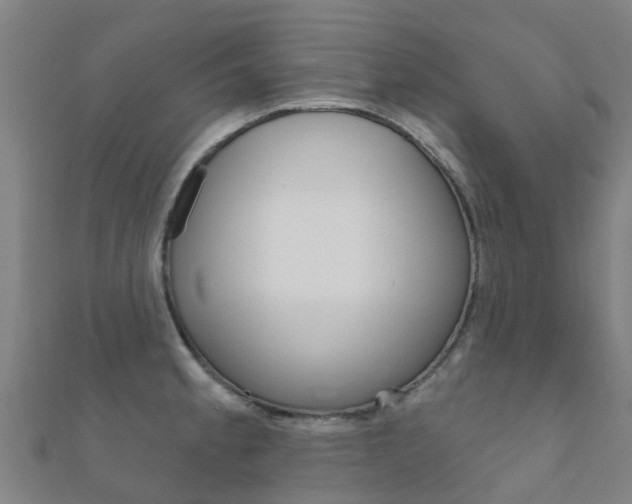 X0000112431189200908141104