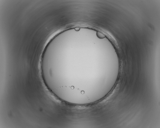 X0000112431190200908141104