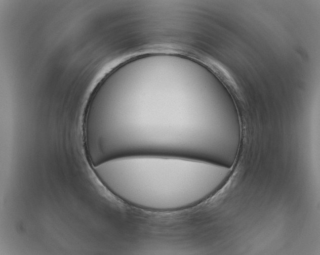 X0000112431192200908141104