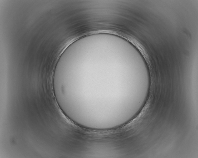 X0000112431193200908141104