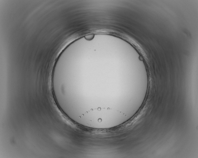 X0000112431194200908141104