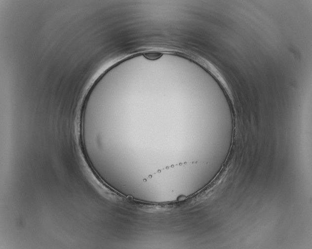 X0000112431195200908141104