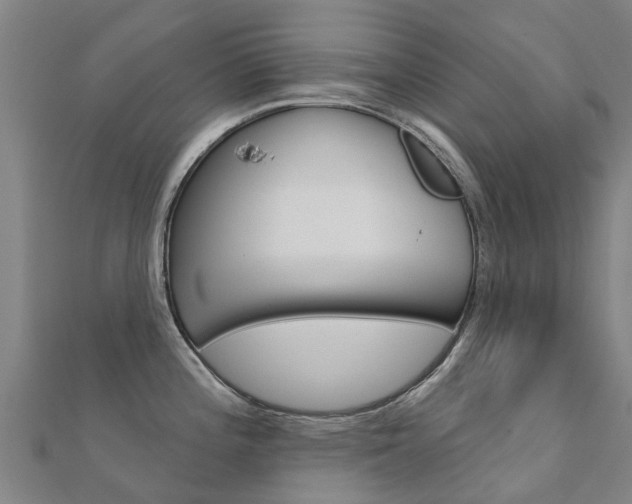 X0000112431196200908141104