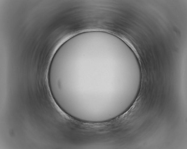 X0000112431197200908141104