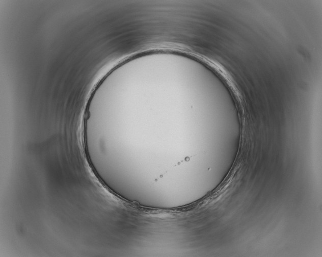 X0000112431199200908141104