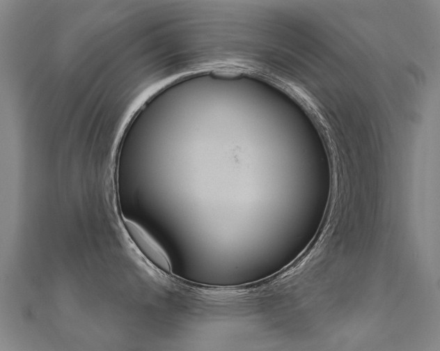 X0000112431200200908141104