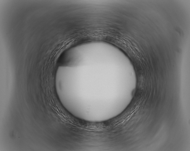 X0000112431201200908141104