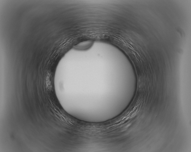 X0000112431202200908141104
