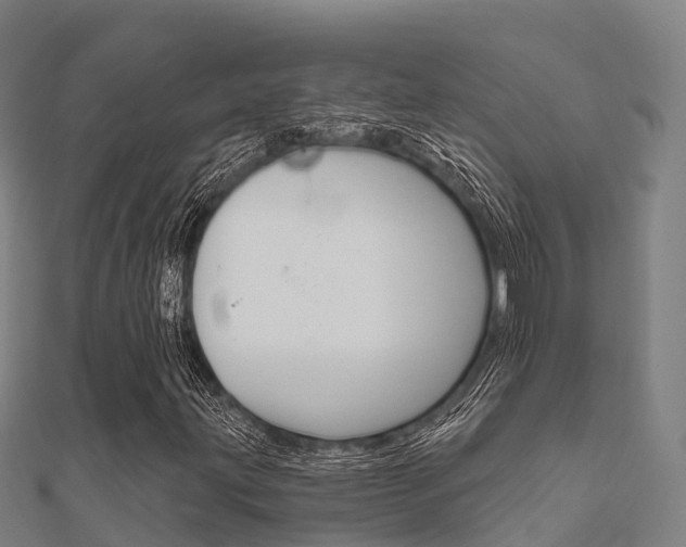 X0000112431203200908141104