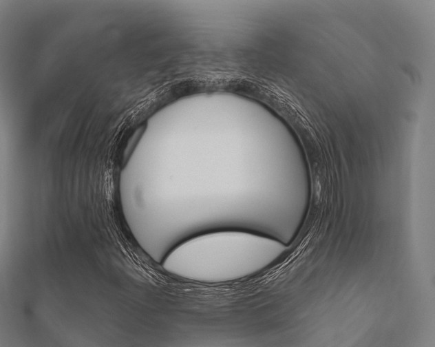 X0000112431204200908141104