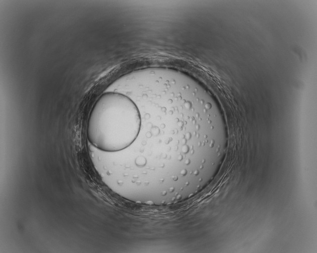 X0000112431205200908141104
